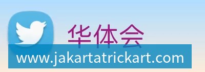 附加赛首胜!热火出局,阿德巴约重伤,裁判抢戏,最佳新秀遭弃用